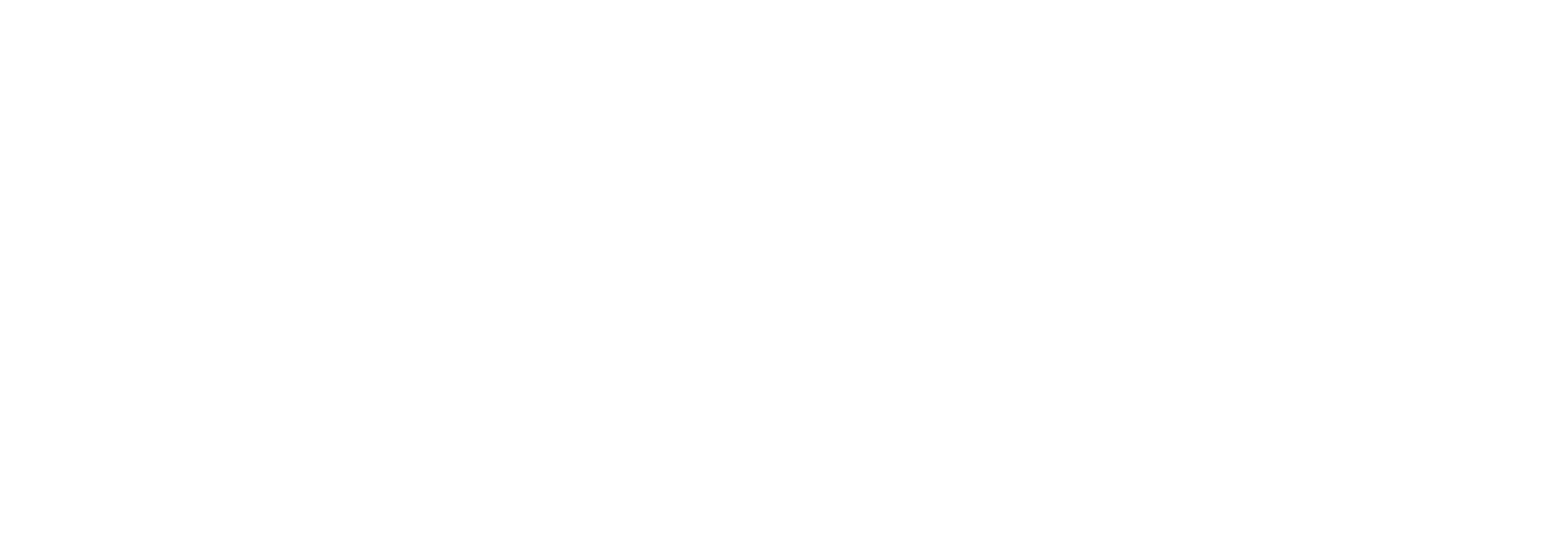 JANKO DIORR